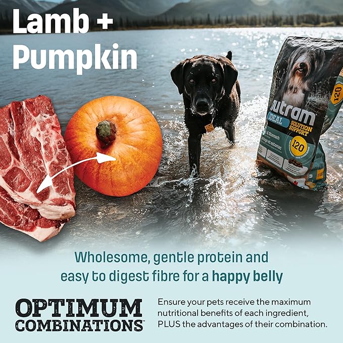I20 Lamb Dog Food with Brown Rice - Skin, Coat & Sensitive Stomach Dog Food with Pumpkin, Omega-3 Rich Salmon Oil & Rosemary For Shiny Coat & Immunity - Chicken Free Kibble For Adults (4.4 lbs)