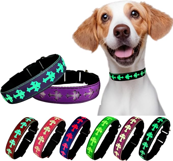 Light Up Glow Dog Collar with Chinese Style AirTag Holder