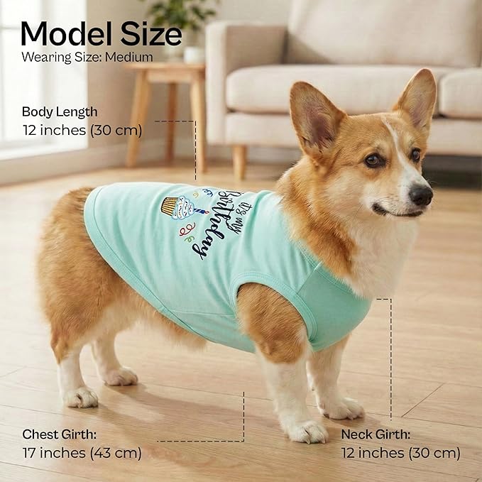 Parisian Pet Dog T-Shirt with Embroidered 'It's My Birthday' Words - Sleeveless Dog Birthday Shirt - Lightweight Pet Vest - Blue Tee Shirts for Medium Sized Dogs - M