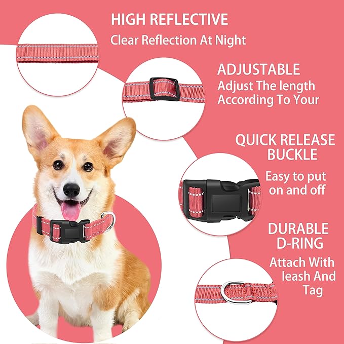 Reflective Dog Collar with Safety Locking Buckle, Adjustable Soft Breathable Nylon Collars for Small, Medium and Large Dogs(Collar+Leash XS Width 3/8" Pink)
