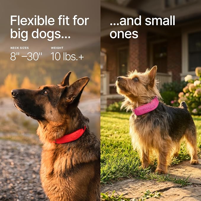 Halo Collar 5 GPS Wireless Dog Fence, Graphite | Keep Your Dog Safe with Custom Boundaries, Real-Time Tracking, and Instant Alerts at Home, Away, or Off-Grid