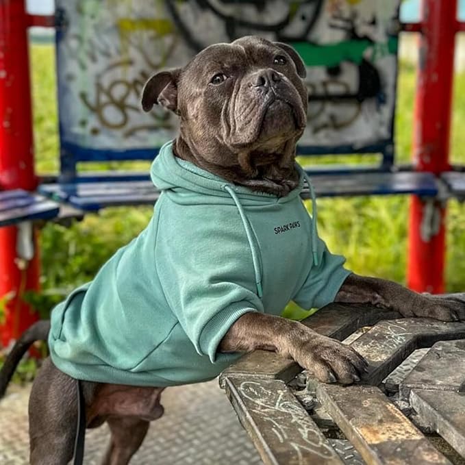 Spark Paws Dog Hoodie – Premium Dog Sweater for Small, Medium, and Large Dogs | Warm Outfits for French Bulldogs, Pitbull, Puppy, Winter Jacket Alternative - Teal - S