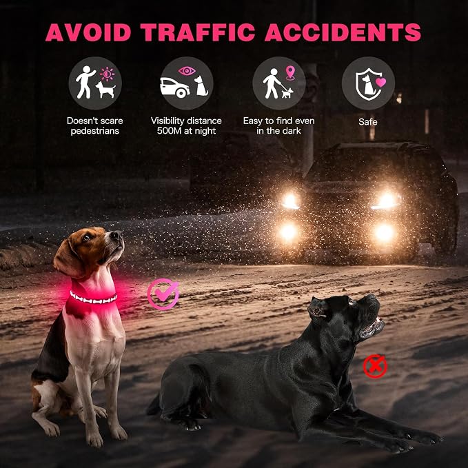 Flashseen LED Dog Collar Light Up USB-C Rechargeable, Pink, Small