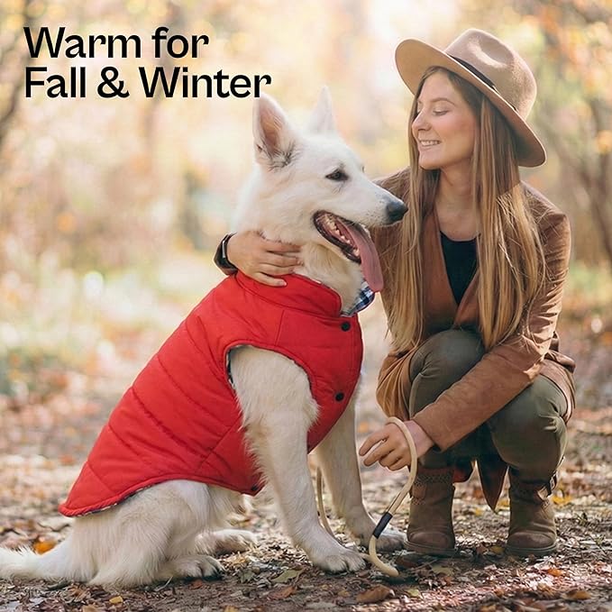 Parisian Pet Dog Reversible Jacket – British Style Plain/Plaid Winter Coat – Windproof Sweaters for Cold Weather – Warm Dog Vest – Soft Jacket for Medium Dogs M
