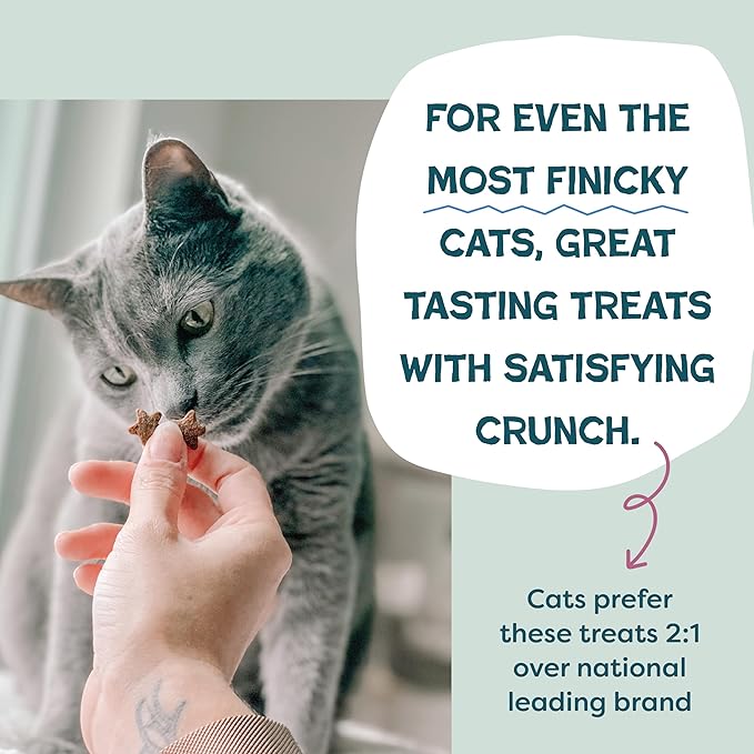 Shameless Pets Crunchy Cat Treats - Kitty Treats for Cats with Digestive Support, Natural Kitten Treats with Real Chicken, Healthy Flavored Feline Snacks - Cran You Say Chicken, 1-Pk