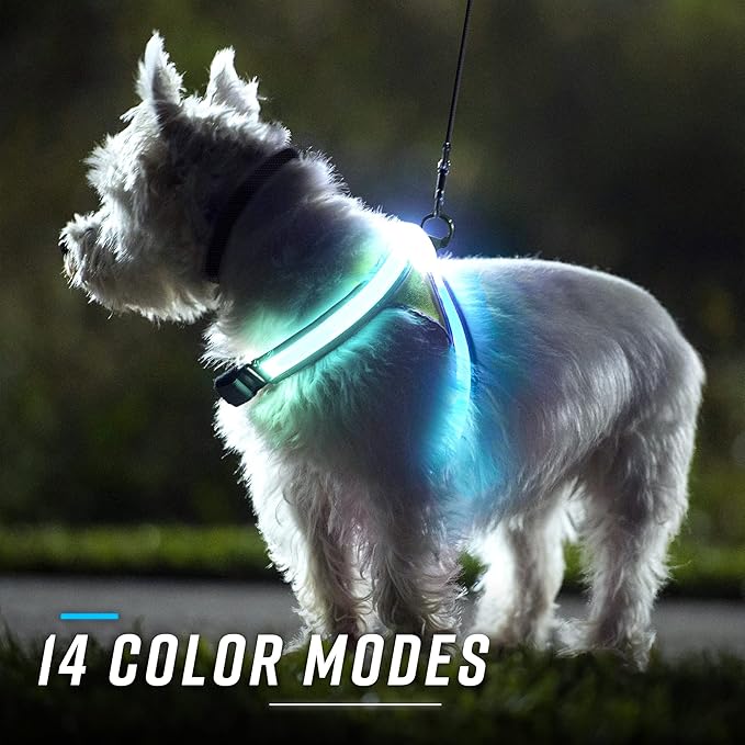 Noxgear LightHound - Multicolor LED Illuminated, Reflective Dog Harness (Medium)