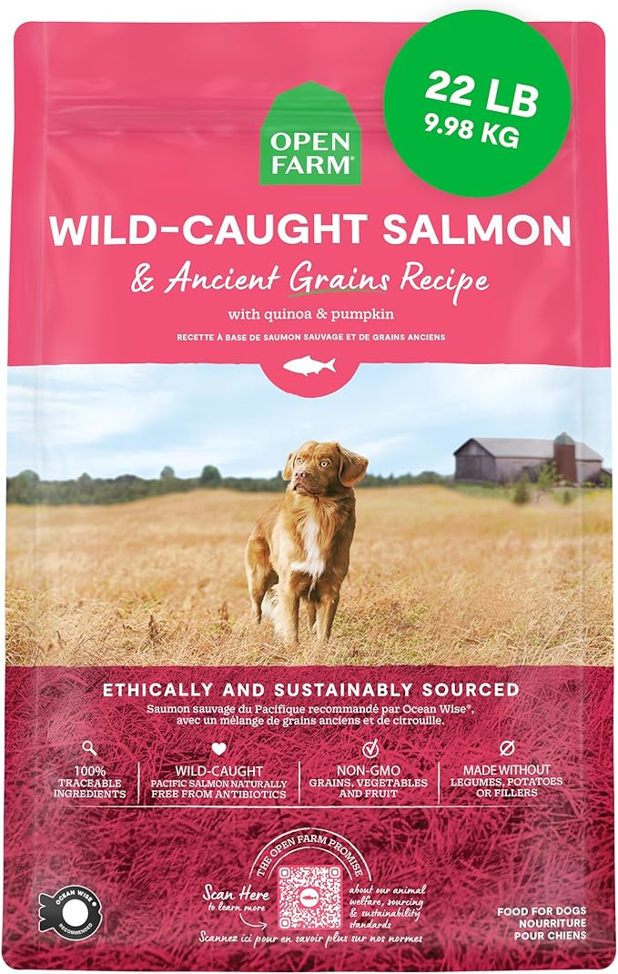 Open Farm, Ancient Grains Dry Dog Food, Protein-Rich & Nutrient Dense, 90% Animal Protein Mixed with Non-GMO Fruits, Veggies and Superfoods, Wild Caught Salmon Recipe, 22lb Bag