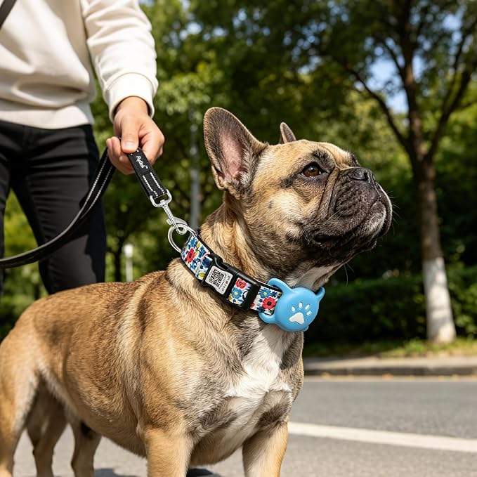 PUPTECK Airtag Dog Collar, Reflective with QR Code Buckle, Waterproof AirTag Holder Outdoor Tracking Pet Collars, Adjustable Soft Padded Durable for Small Medium Large Dogs Walking Training, Blue S