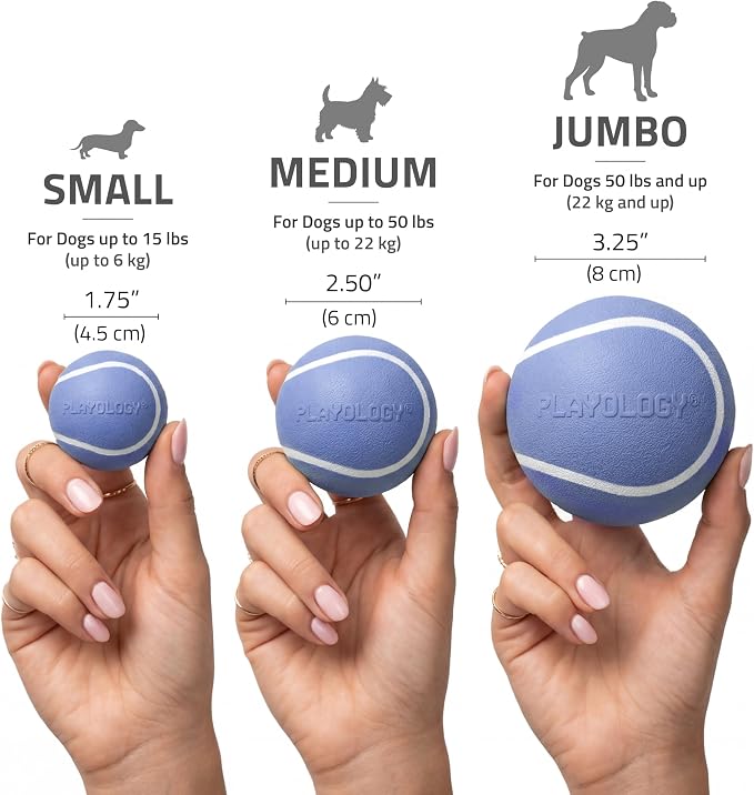 Playology Squeaky Chew Ball Dog Toy - Small, Blueberry Scent, 3-Pack