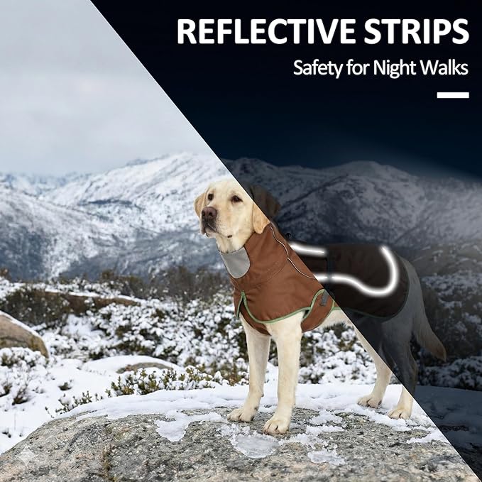 Softshell Dog Winter Vest, Fleece Lined Water-Repellent Jacket for Hiking & Running, Adjustable Windproof Winter Coat with Anti-Slip Leg Straps for Active Dogs (Brown, X-Small)