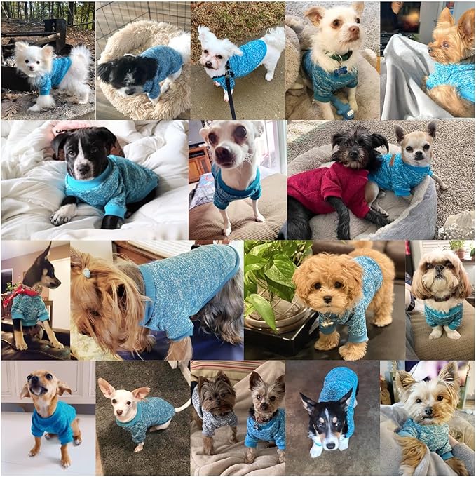Jecikelon Dog Clothes Dogs Sweater Soft Puppies Clothing Winter Puppy Sweaters Warm Outfit for Dogs Small XXS XS Cat Apparel (Light Blue, XS)