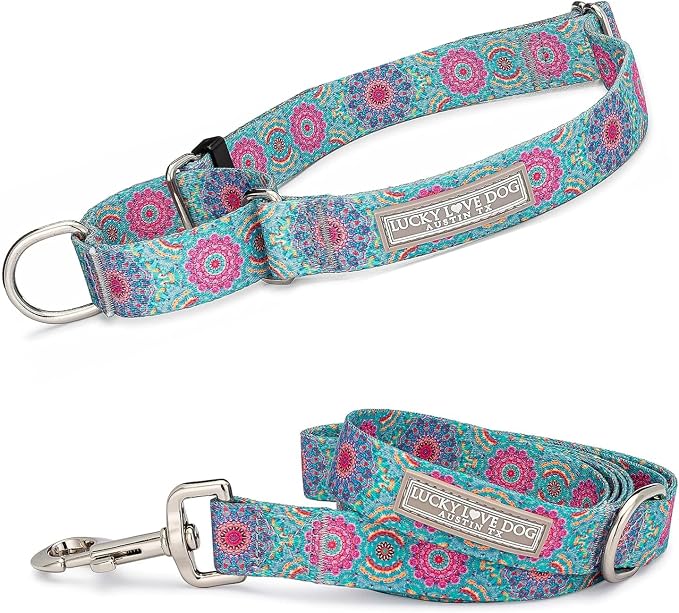 Lucky Love Dog Martingale Collar & Leash Set No Slip Cute – Clara, Medium