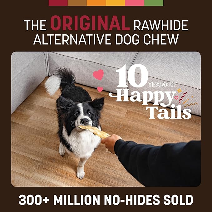 Earth Animal No Hide Strips - Natural Rawhide Free Dog Chew Strips, Beef - 10 Count Value Pack