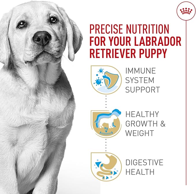 Royal Canin Breed Health Nutrition Labrador Retriever Puppy Dry Dog Food, 2.5 lb Bag