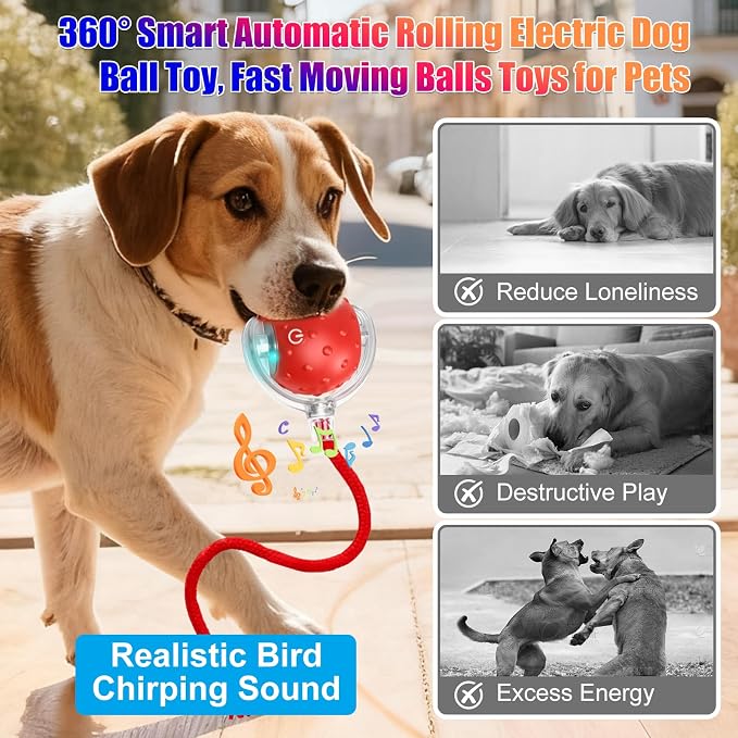Tiny Fetch Dog Toy, Tinyfetch Interactive Dog Cat Toys Balls with Birdsong, 360° Smart Automatic Rolling Electric Dog Ball Toy, Fast Moving Balls Toys for Pets (Blue)