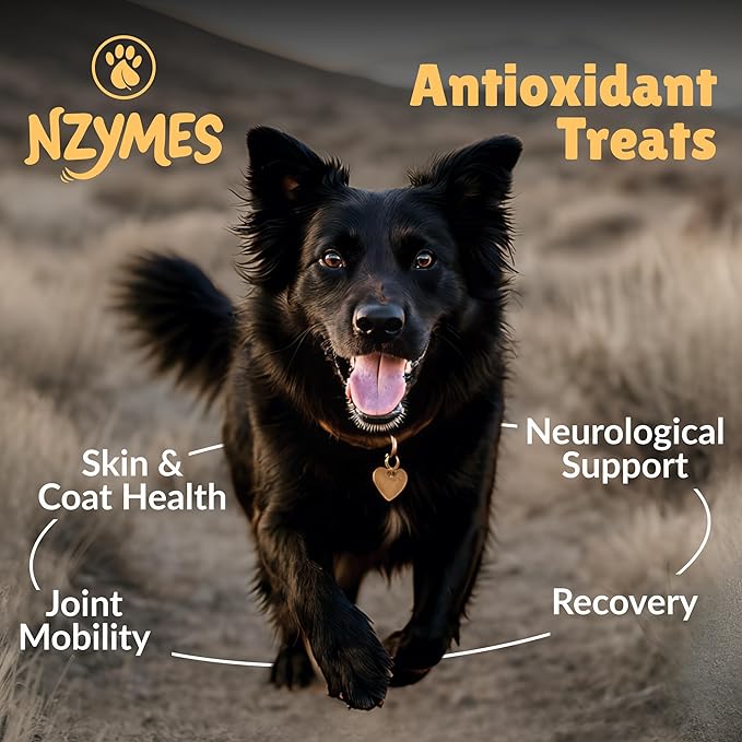 Nzymes® Antioxidant Treats - for Dogs Joints, HIPS, Paralysis, Skin, Coat, Hair Loss, Aging, Digestion, Neurological, Seizures - 360 Treats - Made in The USA