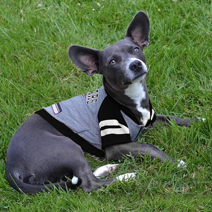 Pets First NFL Jacksonville Jaguars Hoodie for Dogs & Cats. | NFL Football Licensed Dog Hoody Tee Shirt, Large| Sports Hoody T-Shirt for Pets | Licensed Sporty Dog Shirt