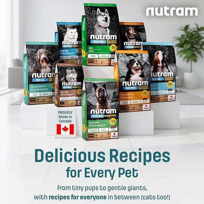 I20 Lamb Dog Food with Brown Rice - Skin, Coat & Sensitive Stomach Dog Food with Pumpkin, Omega-3 Rich Salmon Oil & Rosemary For Shiny Coat & Immunity - Chicken Free Kibble For Adults (4.4 lbs)