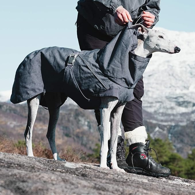 Hurtta Expedition Parka, Winter Dog Coat, BlackBerry, 26 in