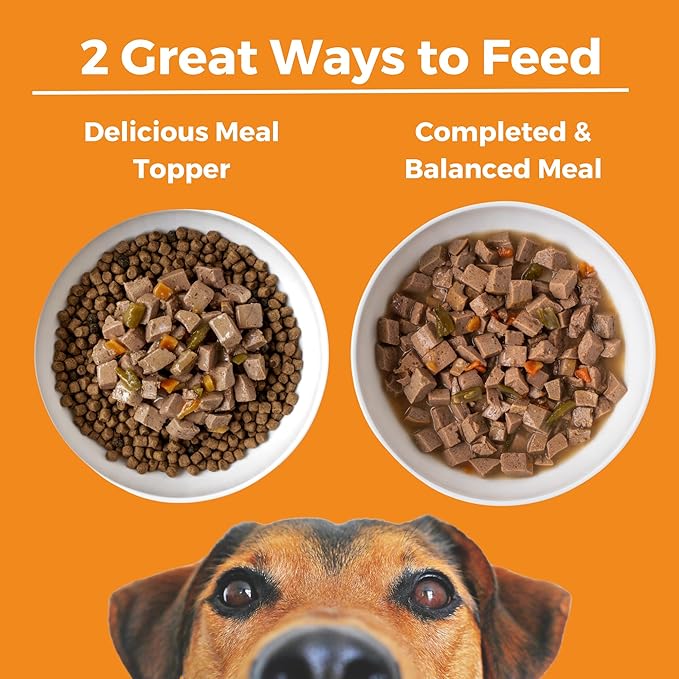 KOHA Big Easy Feast Stew for Dogs with Turkey, Chicken, and Duck, High Protein Wet Dog Food, 12.7oz Cans (Case of 12)