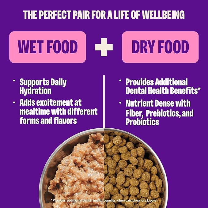 Wellness Complete Health Gravy Adult Wet Cat Food, Natural, Protein-Rich, Grain Free, 5.5 Ounce, 12 Pack, (Salmon Entree)