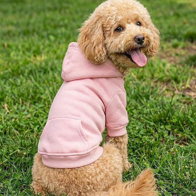 Personalized Dog Hoodie, Custom Name Text Hoodie for Dog, Pet Clothes Warm Winter Dog Outfit 3