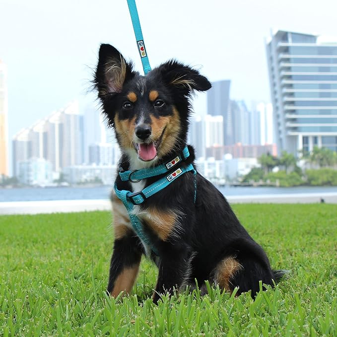 Pawtitas Recycled Reflective Step-in Dog Harness – Adjustable No-Pull Vest for Puppies to Seniors, Safe & Comfortable XS Black