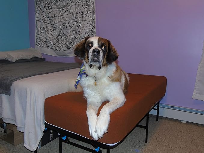 Dog Bed Mattress Extender for Queen Beds - Elevated/Raised Foam Dog Bed - Dog Bed Extension of Human Mattress (14" Height Dog Bed, Gray)