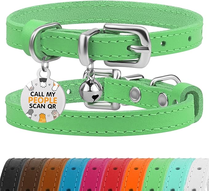 BRONZEDOG Leather Cat Collar with Removable Bells Non Breakaway Kitten QR Tag for Girl Boy (7" - 9" for Cats, Green & Silver)
