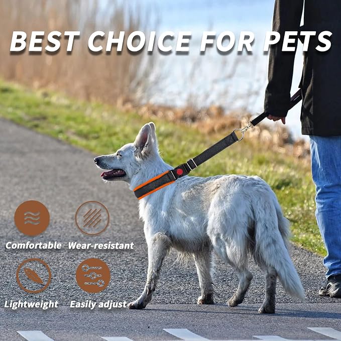 Martingale No Pull Dog Collar for Large Medium Small Dogs, Heavy Duty Nylon Reflective Adjustable Anti Pull Slip Collar with Buckle for Training Walking S Black Orange