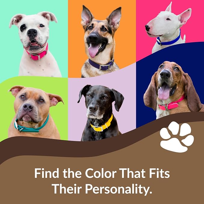dogIDs Personalized Dog Collar – ScruffTag Custom Waterproof Biothane Dog Collar with Laser-Engraved Name, Durable & Odor-Resistant – USA Made | Pink, 3/4 in x 16 in (Fits Neck Sizes 14-18 in)