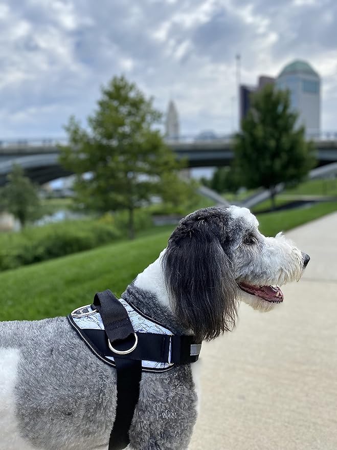 ShawnCo Essential Dog Harness, No-Pull Pet Vest with 3 Leash Clips, No Choke, Reflective, Adjustable and Padded, for Easy Walking and Training for Small, Medium and Large Dogs (White Marble, L)