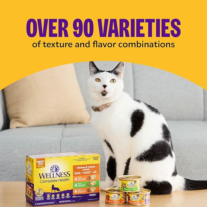 Wellness Complete Health Cubed Adult Wet Cat Food, Natural, Protein-Rich, Grain Free, 5.5 Ounce, 24 Pack, (Chicken Entrée)