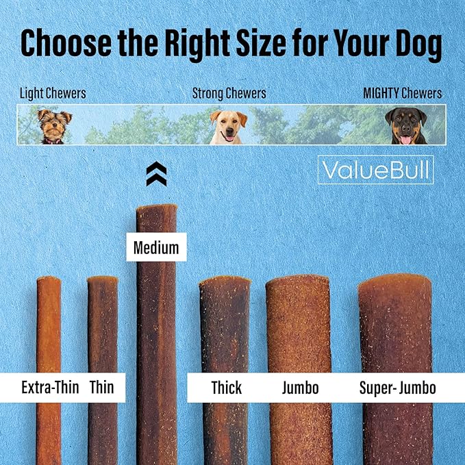 ValueBull Collagen Sticks for Dogs, 12 Inch Medium Chews, Natural Long-Lasting Dog Treats, 25 Count - Supports Joints, Skin & Coat with Chondroitin & Glucosamine