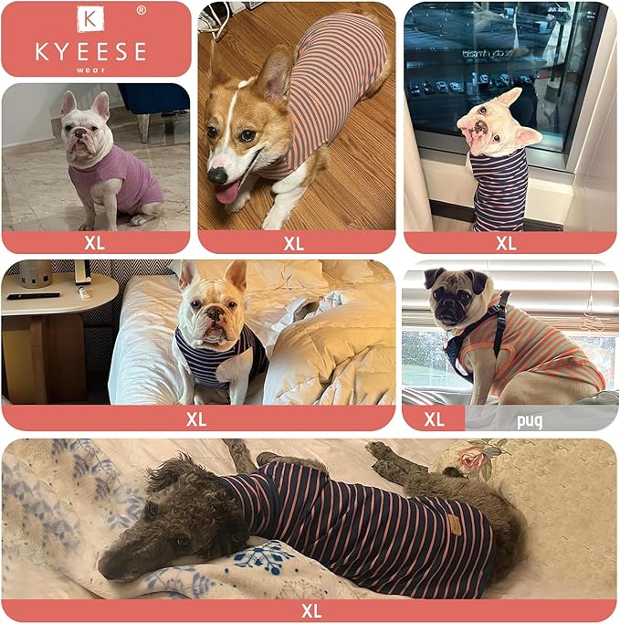 KYEESE 2Pack Dog Sweater Turtleneck Dogs Clothes Stretchy Pets Clothes Soft Pet Sweatshirt Pullover Dog Sweaters for Small Dogs Male Warm Pet Coats