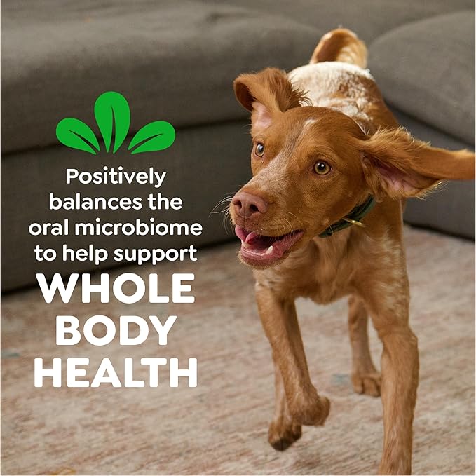 Greenies Veterinarian-Recommended Adult Natural Dental Dog Treats Petite Size, Original Flavor, 27 oz. Pack, 45 Count