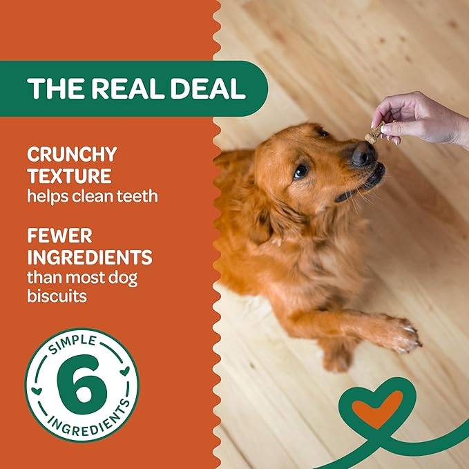 Wholesome Pride Nature’s Biscuits Dog Treats - Crunchy, Natural, Limited Ingredient, Grain-Inclusive Recipe with Fiber‑Rich Sweet Potato - Mini Bone-Shaped Treats for Dogs - 16 oz Bag