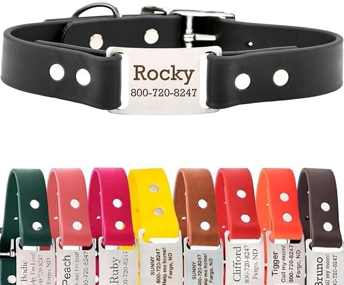 dogIDs Personalized Dog Collar – ScruffTag Custom Waterproof Biothane Dog Collar with Laser-Engraved Name, Durable & Odor-Resistant – USA Made | Black, 1 in x 22 in (Fits Neck Sizes 20-24 in)