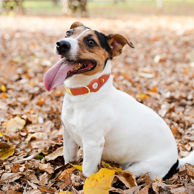 Leather Airtag Dog Collar - Soft Tracking Dog Collar with Apple AirTag Holder and Metal Buckle - Safety GPS Pet Collars for Small Medium Large Dogs Puppy Pink Red (Orange, S, 12"-15" Neck Fit)