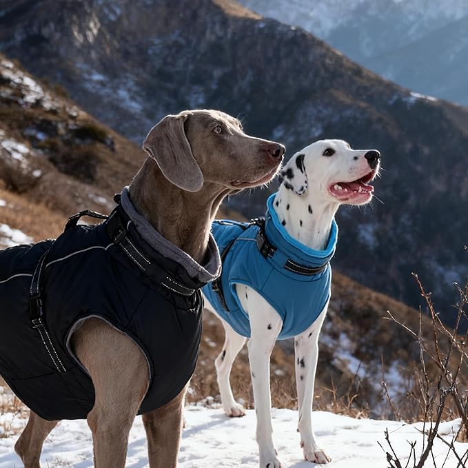 PUMYPOREITY Dog Jackets for Large Dogs, Warm Dog Winter Coat with Harness Built in, Fleece Jacket with Back Zipper, Cold Weather Coats for Outdoor, Waterproof & Windproof Pet Snowsuit, Blue, XL