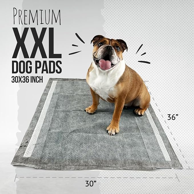 Bulldogology Charcoal XXL Pee Pads for Dogs (30x36) Puppy Pee Pads with Adhesive Sticky Tape - Leak Proof Charcoal Puppy Pads - Ultra Absorbing Charcoal Dog Pads - Activated Carbon Pee Pads (40-Count)