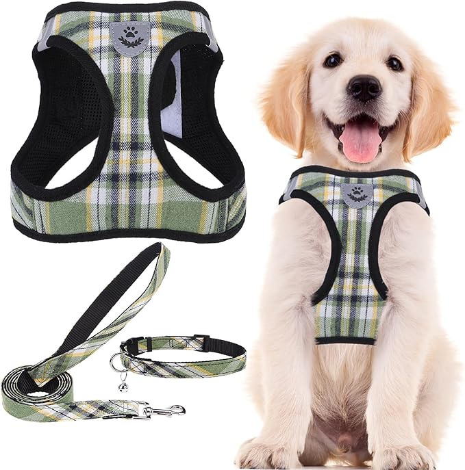 PUPTECK Adjustable Dog Harness Collar and Leash Set Step in No Pull Pet Harness for Small Medium Dogs Puppy and Cats Outdoor Walking Running, Soft Mesh Padded Reflective Vest Harnesses, Grn&YLW, XL