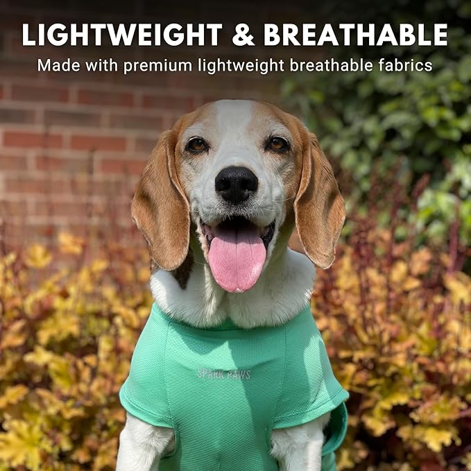 Spark Paws Sunblock Dog T-Shirt, SPF30 Protection, Lightweight Breathable Quick Dry for Dogs with Sensitive Skin - Blue & Mint (Set of 2) - M