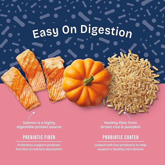 Natural Balance Health Protection Dry Dog Food – Whole Body Health, Easy on Digestion Dog Food Made with Salmon, Brown Rice & Pumpkin for Dogs - 22lbs.