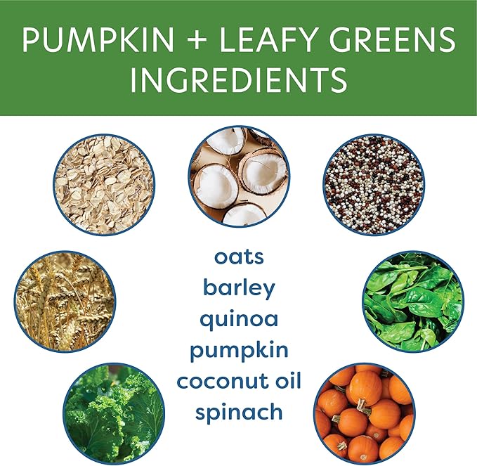 Body and Soul Pumpkin + Leafy Greens Crunchy Dog Treats – Superfood Biscuits Baked with Oats, Barley & Quinoa – All-Natural Plant Based Clean Protein, No Additives or Fillers – Made in USA, 10oz