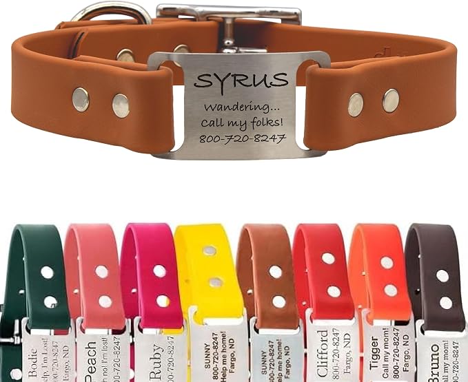 dogIDs Personalized Dog Collar – ScruffTag Custom Waterproof Biothane Dog Collar with Laser-Engraved Name, Durable & Odor-Resistant – USA Made | Terracotta, 1 in x 22 in (Fits Neck Sizes 20-24 in)