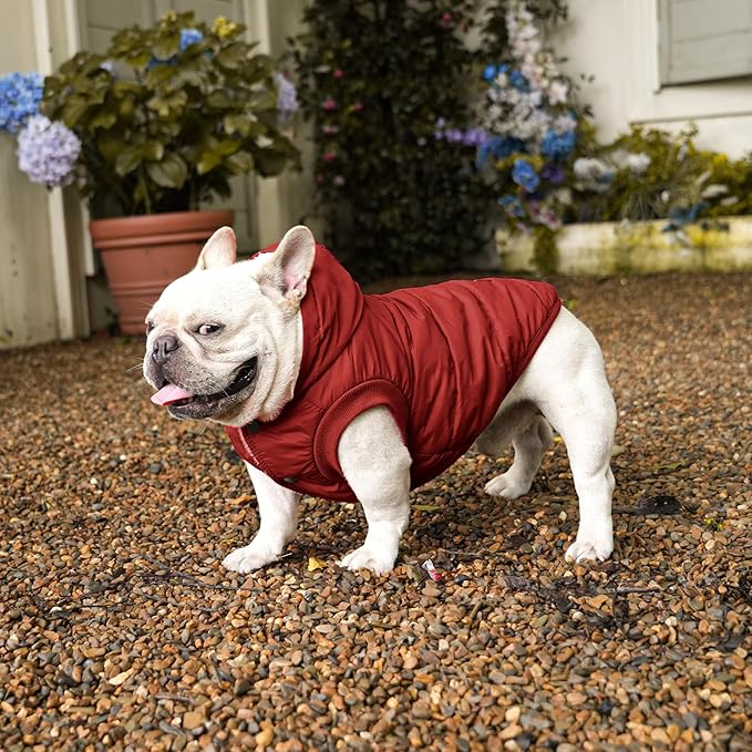 Fleece Lining Extra Warm Dog Hoodie in Winter for Large Dogs Jacket Pet Coats with Hooded,Red XL