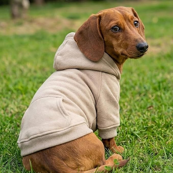 Personalized Dog Hoodie, Custom Name Text Hoodie for Dog, Pet Clothes Warm Winter Dog Outfit 3