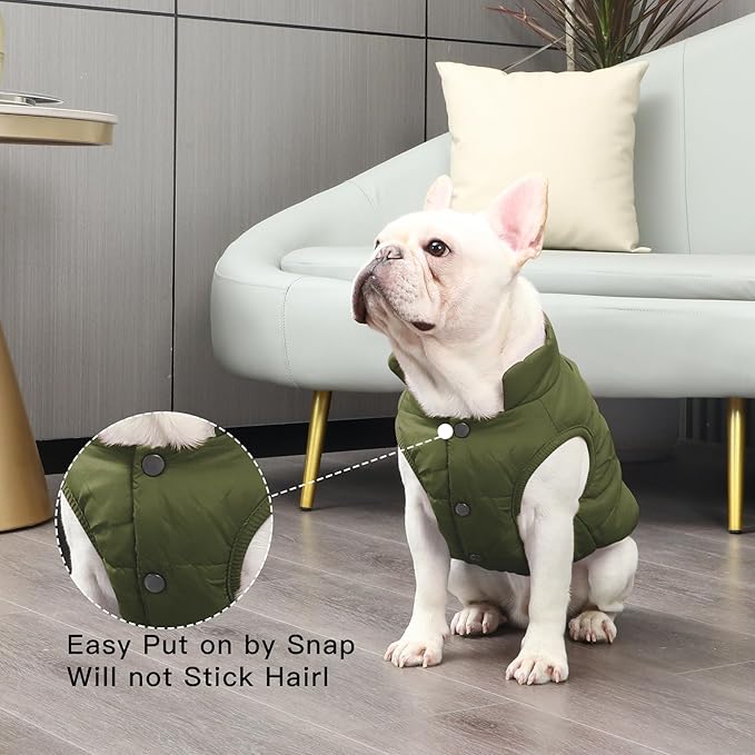 2 Layers Fleece Lined Warm Dog Jacket for Winter Cold Weather,Soft Windproof Medium Dog Coat,Green L