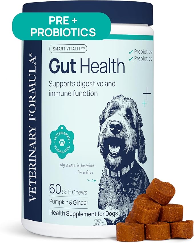 Veterinary Formula Gut Health Supplement for Dogs – Vet-Formulated Probiotic Chews with Digestive Enzymes & Fiber – Smart Vitality Supports Digestive Health, Gut Balance & Stool Quality, 60 Soft Chews